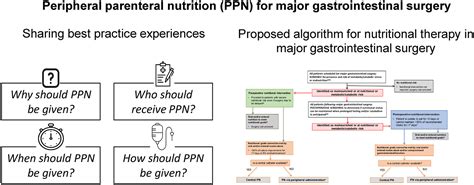 perioperative nutrition ppt|Clinical Practice Guidelines For The Perioperative Nutrition, .